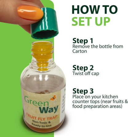 Greenway Traps Fruit Fly Trap, Indoor and Kitchen, Reduces Fruit Fly Infestations, Non-Toxic, Long-Lasting, 1 Pack (Includes 2 Traps)