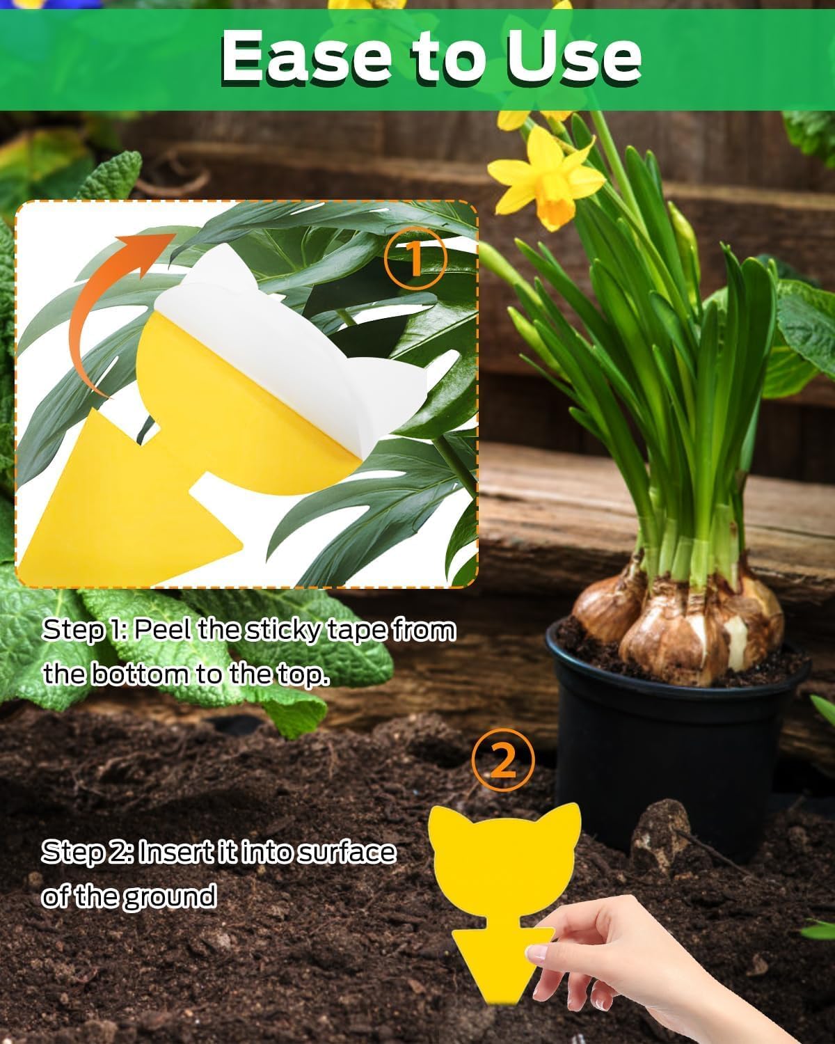 Yellow Sticky Traps for Plant Gnats, 100PCS Fungus Gnat Trap | for Gnat, Fruit Fly, Flying Insects, Bug, Waterproof, Non-Toxic Indoor Outdoor Use for Houseplants, Pots, Garden & Kitchen