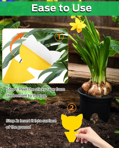 Yellow Sticky Traps for Plant Gnats, 100PCS Fungus Gnat Trap | for Gnat, Fruit Fly, Flying Insects, Bug, Waterproof, Non-Toxic Indoor Outdoor Use for Houseplants, Pots, Garden & Kitchen