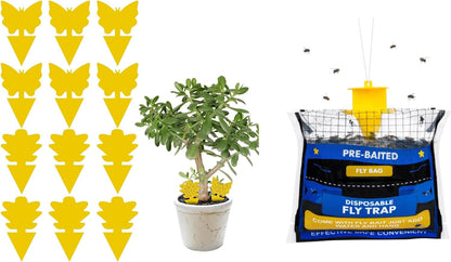 Big Disposable Hanging Fly Trap Bag 4 Pack for Chicken Coop Barn Ranch Farm | 50g Dissolvable Bait Fly Hunter for Flying Insects, Large Clear Capacity, No Messy Cleanup, Weatherproof Outdoor-only Use