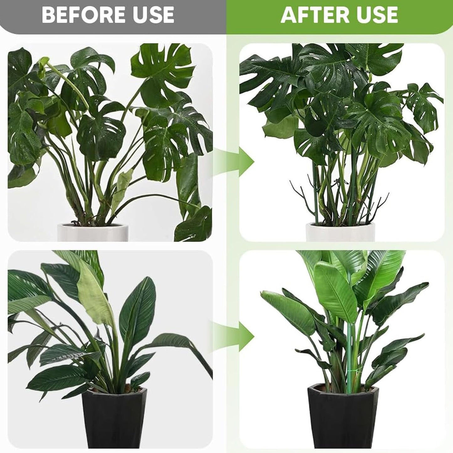 Plant Support Stakes for Climbing Plants, Stackable, Indoor Outdoor Use, Monstera Philodendron Pothos (10inch-10PCS)