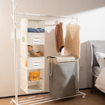 BrilliantJo 2 Pack Hanging Closet Organizer, 5 Shelves Hanging Storage with 6 Side Pockets for Clothes Shoes, 43"x12"x12"(Black)