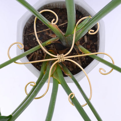 Yohsnor Monstera Plant Stem Support System - 5 Piece Set (5.5x4.7in) | Durable Plant Support Stakes for Climbing Plants & Fishbone Cactus | Ideal Leaf Stabilizer for Indoor Plants & Monstera Care