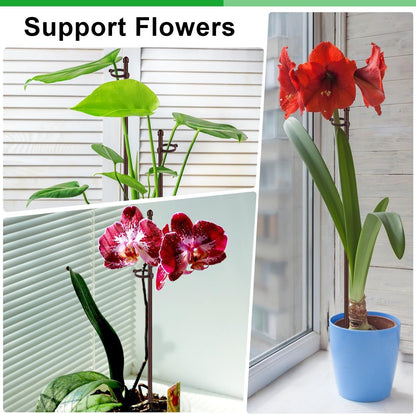 20Pcs Plant Support Stakes 17 inch SupKing Garden Orchid Sticks Extended to 3ft 4ft 5ft Plant Poles with Clips for Indoor Outdoor Potted Tomato Rose Amaryllis Vegetables Comes with 20 Ties（Green）