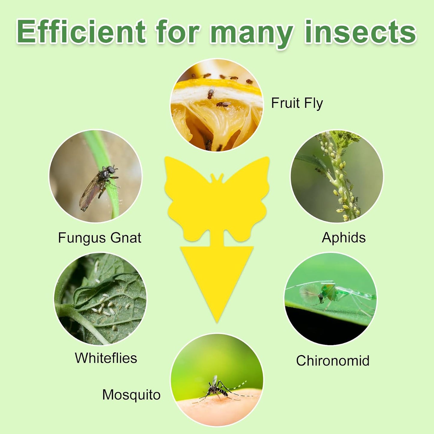 Yellow Sticky Fruit Fly Trap 54 Pack, Gnat Traps for Indoor House Plants | Catches Fungus Gnats, Fruit Fly, Whitefly, Aphid, Leaf Miner, No Harm & Odorless, Safe For Indoor Garden & Outdoor Plant Use