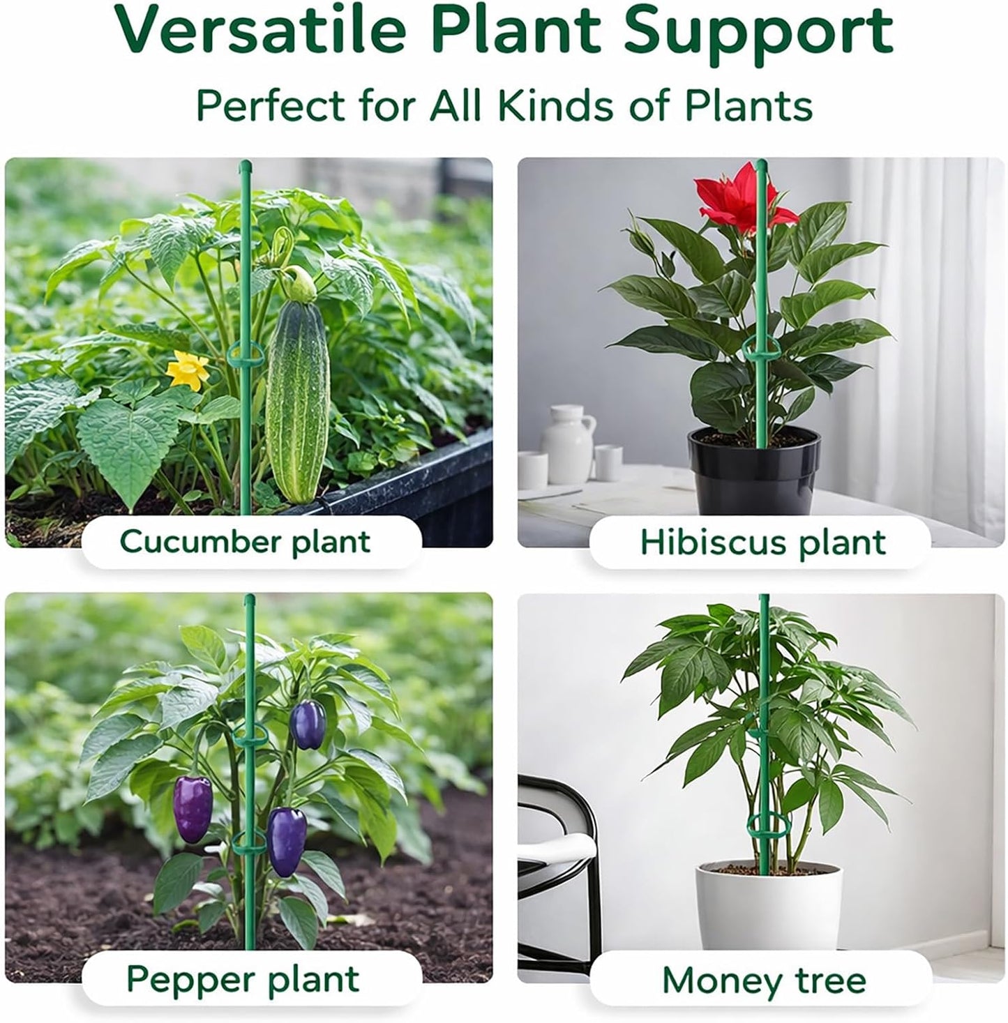 Plant Stakes 12 Inch, 12-Pack Stackable Plant Support Stakes with 12 Clips, Extendable Plant Holder Sticks for Tomato, Orchid, Monstera, Indoor Outdoor Plants (12)