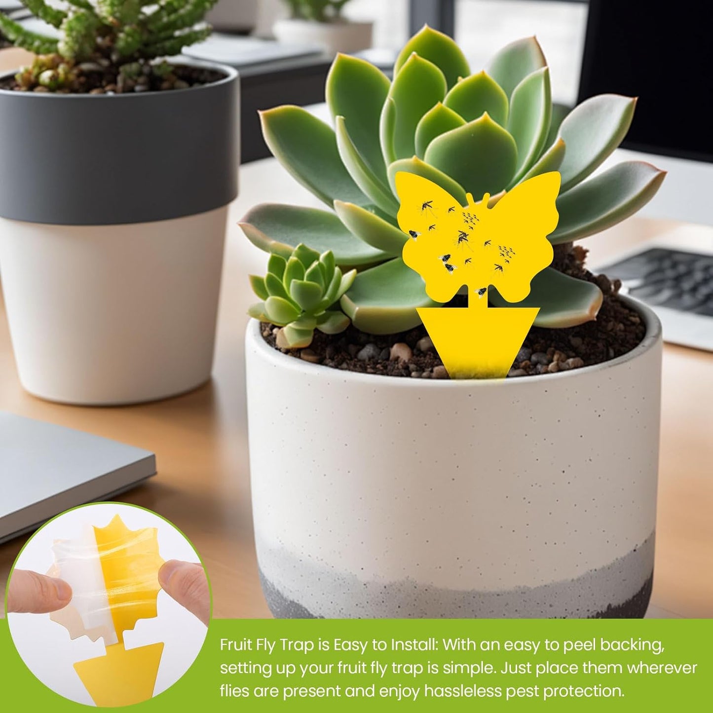 Fruit Fly Traps for Indoors Gnat Killer for House Outdoor Sticky Traps | Eco-Friendly Material, No Chemical Additives, Waterproof, UV Resistant, Protects Plants, Perfect for Plant Lovers 36pcs