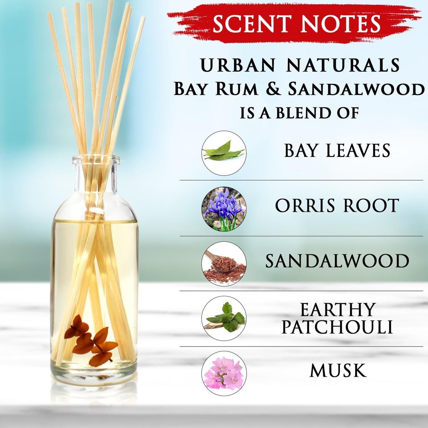Urban Naturals Smoked Vanilla Reed Diffuser Set with Vanilla Bean, Sandalwood & Leather | Made in the USA - Colors B