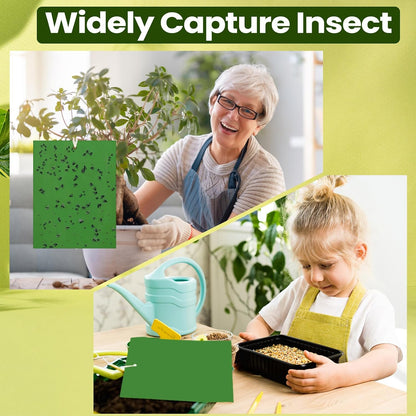 Qualirey 150 Pcs 6x8 Inch Yellow Sticky Traps for Gnats, Dual-Sided Sticky Gnat Traps for Indoor Outdoor Plants, Pest Control for Fungus Gnats, Fruit Flies, Whiteflies – Bulk Pack with Twist Ties