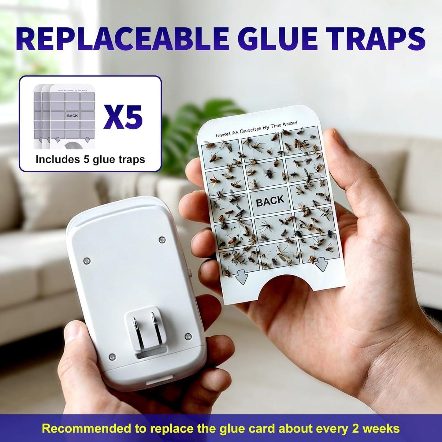 Upgraded Fruit Fly Traps for Indoors, Flying Insect Trap for Fruit Flies, Gnats, Plug in Bug Zapper Indoor with Dual-UV Lights & Trapping, Electric Grid & Glue Traps(1 Device & 5 Glue Boards)