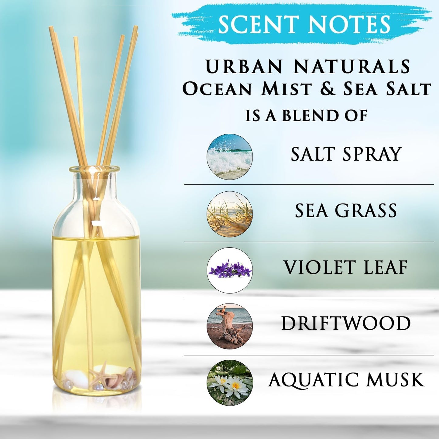Urban Naturals Smoked Vanilla Reed Diffuser Set with Vanilla Bean, Sandalwood & Leather | Made in the USA - Colors B