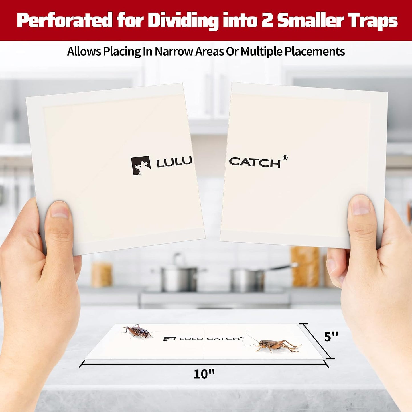 LULUCATCH Cricket Insect Glue Traps - 6 Pack Bug Cockroach Sticky Traps, Large Spider Trap with Pre-Baited Attractant, Highly Effective Glue Boards Indoor, Non-Toxic Pet Safe, Easy to Use