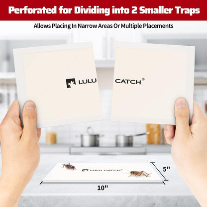 LULUCATCH Cricket Insect Glue Traps - 6 Pack Bug Cockroach Sticky Traps, Large Spider Trap with Pre-Baited Attractant, Highly Effective Glue Boards Indoor, Non-Toxic Pet Safe, Easy to Use