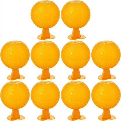 Qualirey 10 Set Fruit Fly Sticky Trap Balls Fungus Gnat Killer Bug Catcher Gnat Trap Insect Traps Indoor Outdoor Plant Fly Sticky Traps Ball for Fungus Plants (Orange)