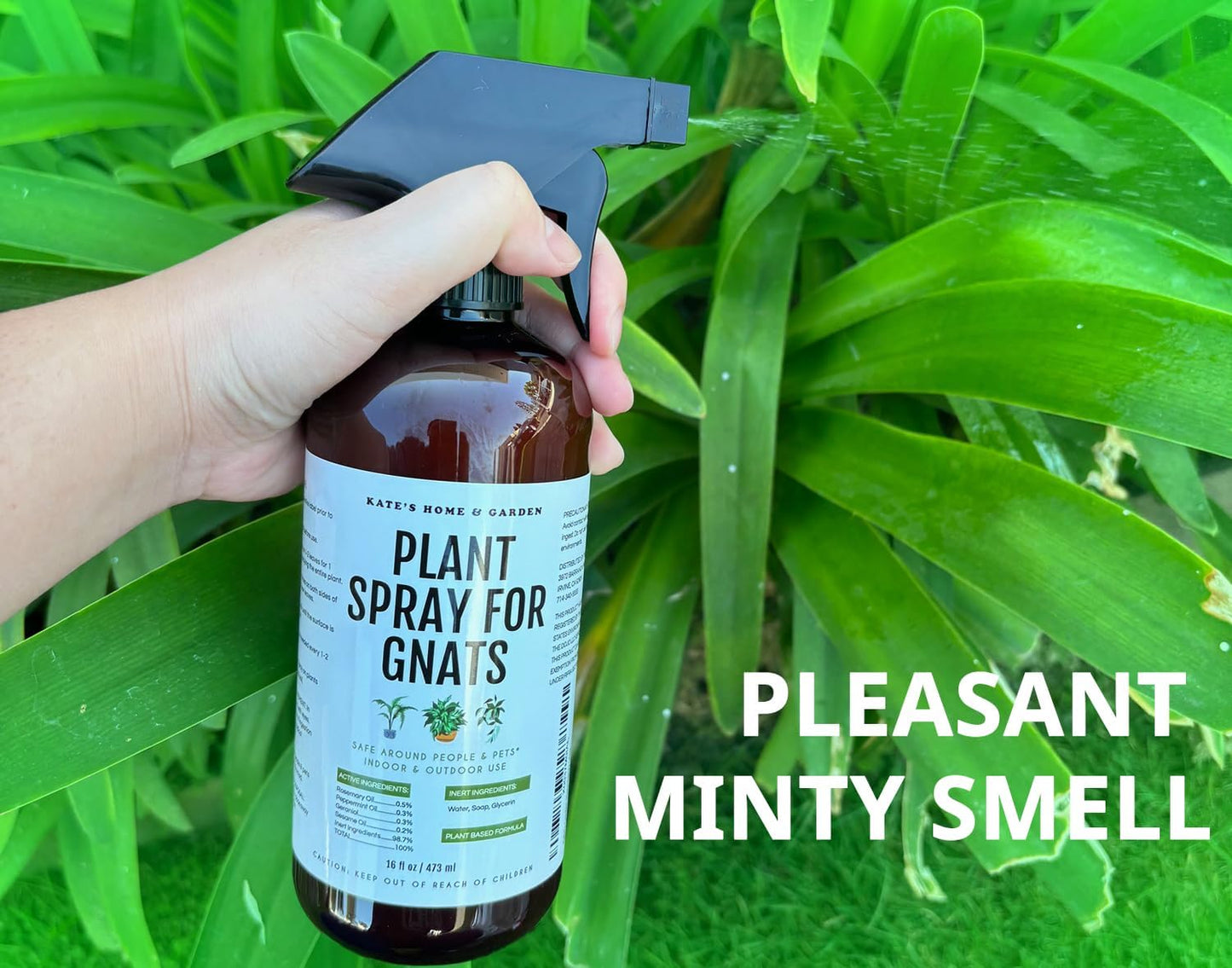 Kate's Home & Garden 36 Count Fruit Fly Traps for Indoors and House. Yellow Sticky Trap for Gnats, Mosquitos, Plants, Ants