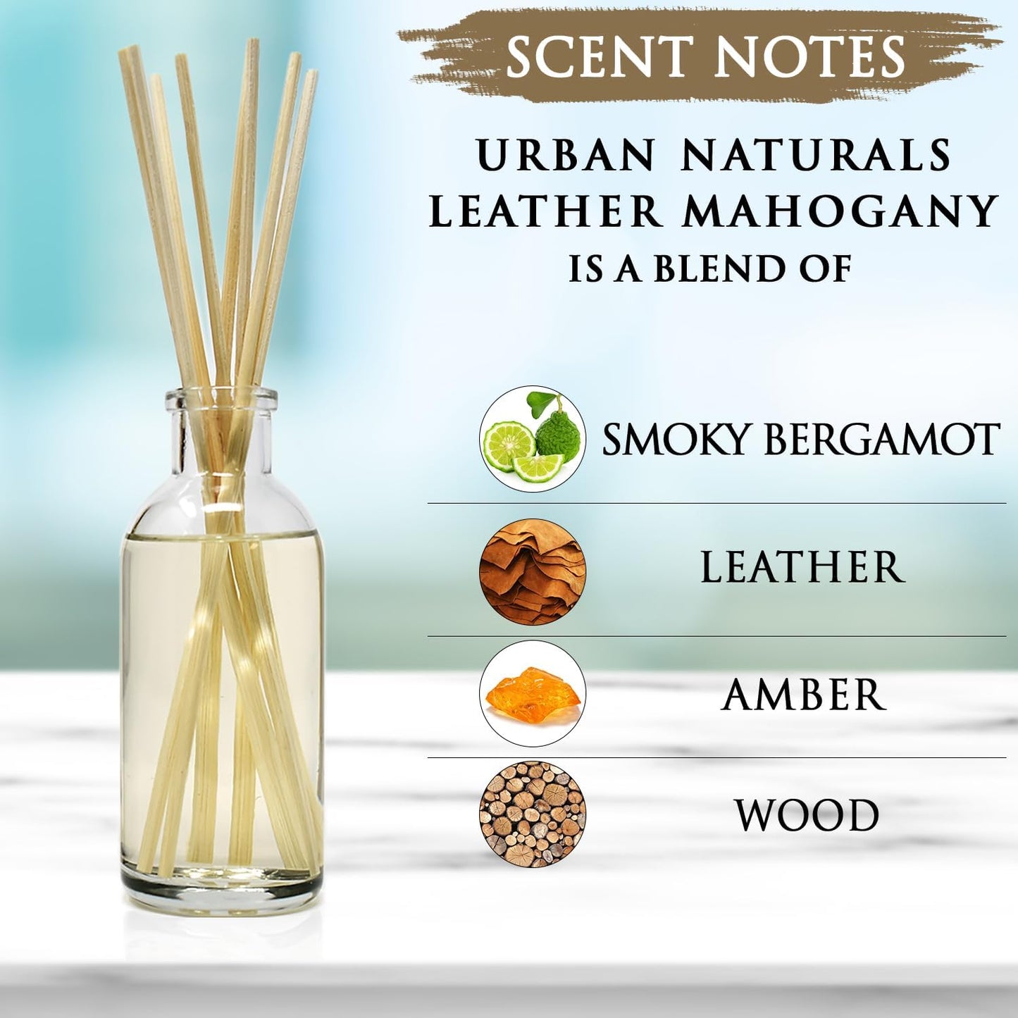 Urban Naturals Smoked Vanilla Reed Diffuser Set with Vanilla Bean, Sandalwood & Leather | Made in the USA - Colors C