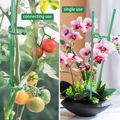 Belit 8 Pack Small Plant Support Plant Stakes, Garden Flowers Green Plant Support Ring, Planter Support Ring for Schlumbergera, Clivia, Vegetables, 5.5" Wide x 9.8" High
