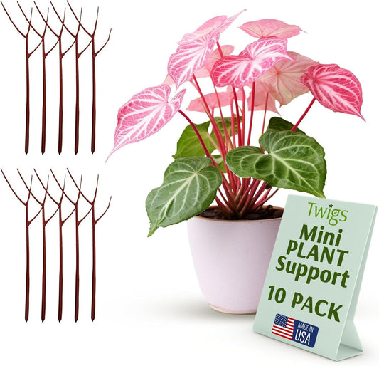Twigs GA Mini Plant Support Stakes, Peony Light Green, 10-Pack, 12" L | Made in USA, UV-Protected Poles, Natural-Looking Stem Support Stakes, Stick Structures for Young Flowers & Vases up to 2ft