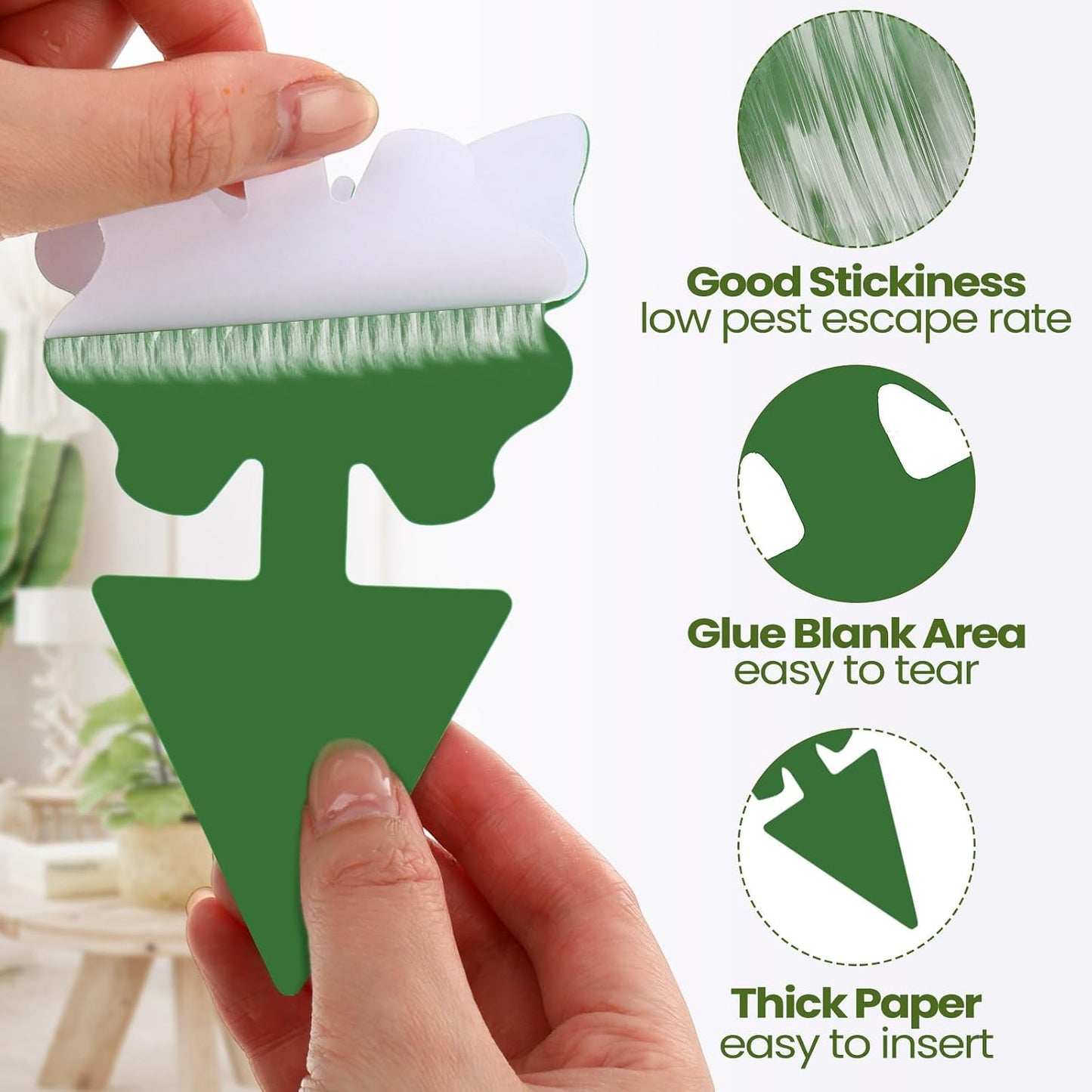200 Sheets Fruit Fly Sticky Traps for Fruit Fly Gnat Trap for House Indoors Sticky Traps Catcher for Gnats Fungus Gnats Mosquito Catcher for Kitchen Outdoor Plants(Yellow)