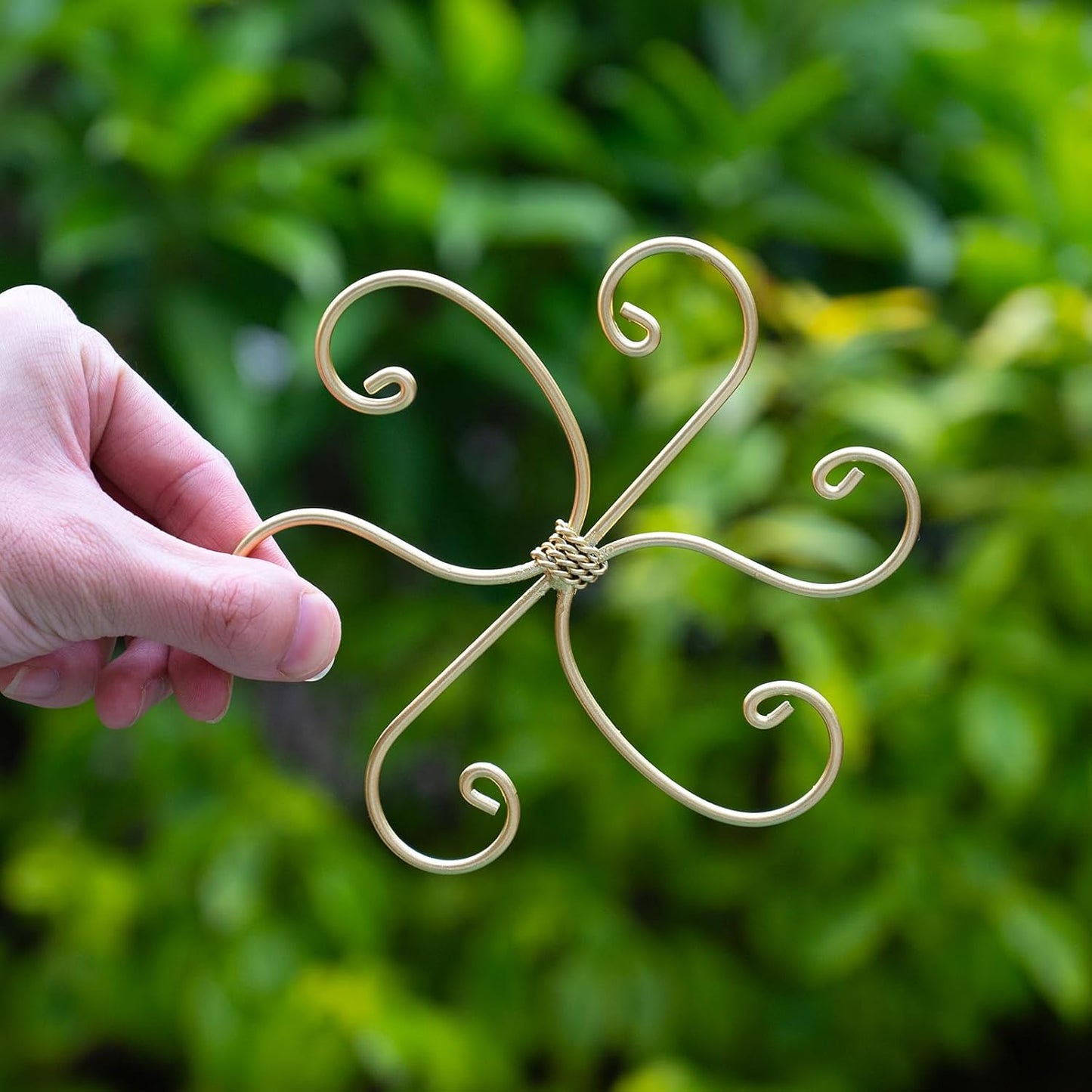 Yohsnor Monstera Plant Stem Support System - 5 Piece Set (5.5x4.7in) | Durable Plant Support Stakes for Climbing Plants & Fishbone Cactus | Ideal Leaf Stabilizer for Indoor Plants & Monstera Care