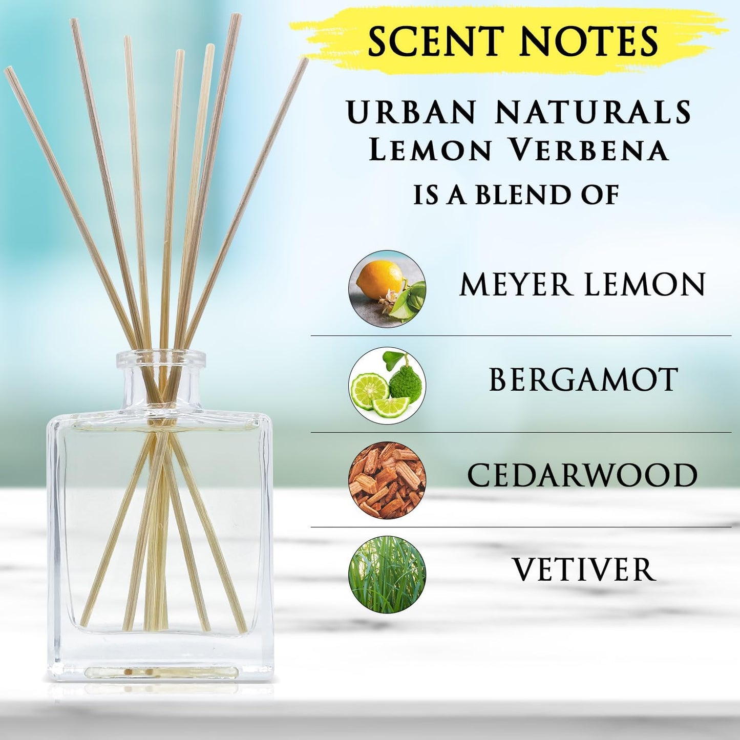 Urban Naturals Smoked Vanilla Reed Diffuser Set with Vanilla Bean, Sandalwood & Leather – 5 Ounce Sleek Black Rectangular Refillable Glass Bottle – Made in the USA