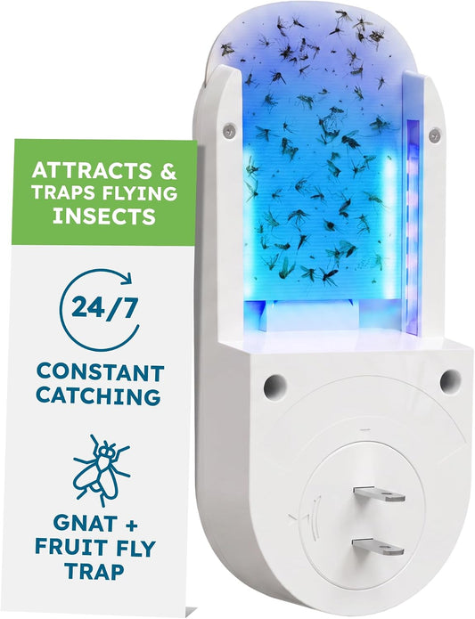 BugMD No Buzz Zone Fruit Fly Traps for Indoors with Honey Scent Bait & UV Light – Gnat Traps for House Indoor, Plug in Fly Trap Indoor, Bug Zapper Alternative, Mosquito Trap for Home