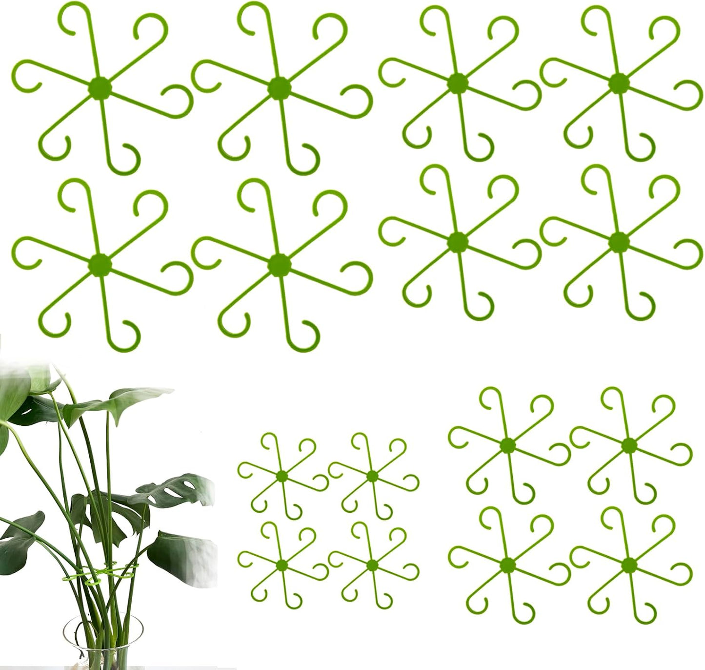 Monstera Plant Support, 16Pcs 4 Sizes Plant Stem Holders Reusable Plant Stakes for Indoor Plants Accessories Garden Tools