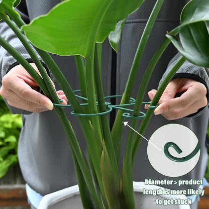 Yohsnor Monstera Plant Stem Support System - 5 Piece Set (5.5x4.7in) | Durable Plant Support Stakes for Climbing Plants & Fishbone Cactus | Ideal Leaf Stabilizer for Indoor Plants & Monstera Care
