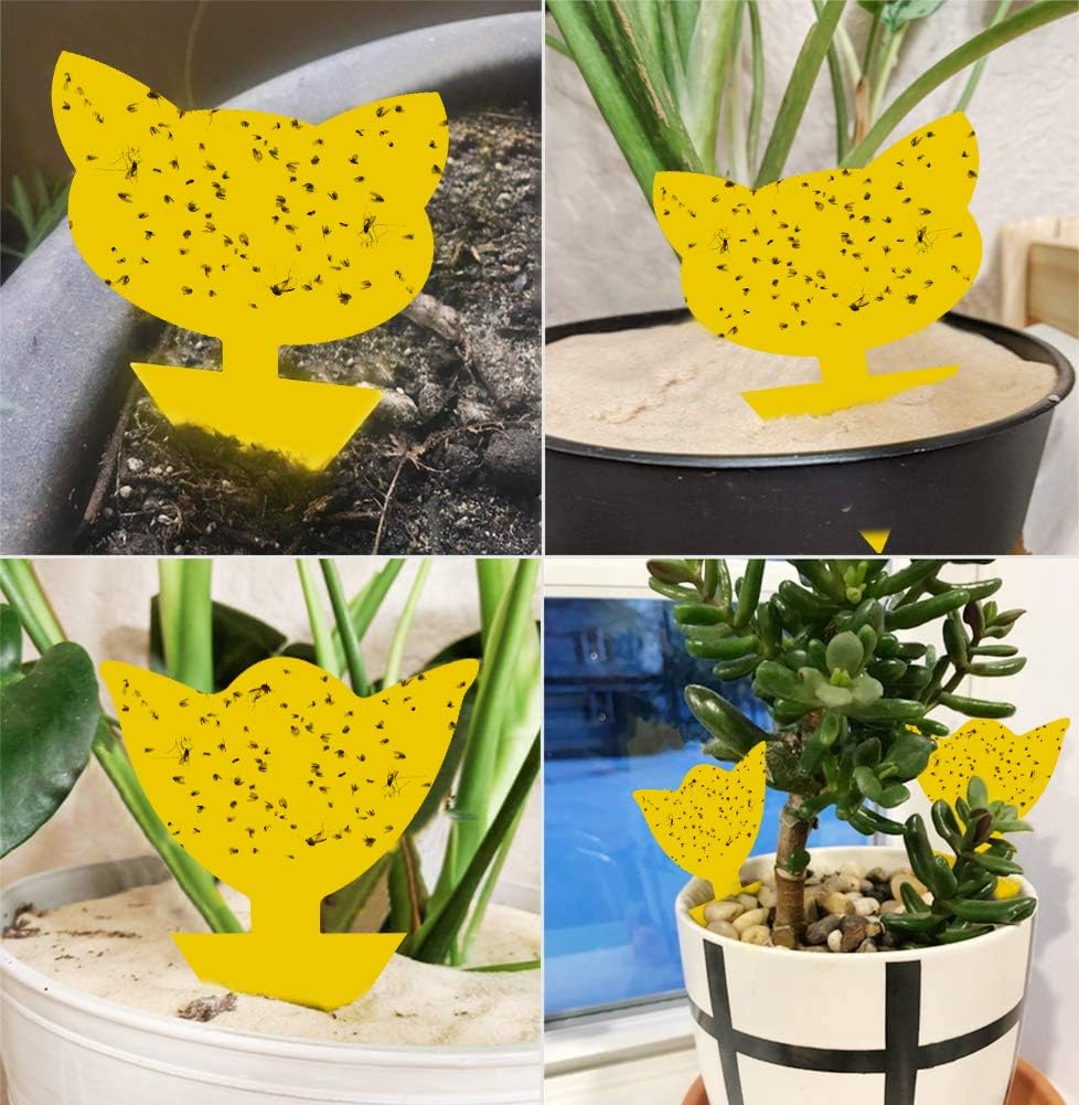Solar Wasp Bee Trap, Outdoor Hanging LED Light Reusable Catcher for Outside | Brush Included, DIY Bait, Fits Hornet, Yellow Jacket, Wasp & Carpenter Bee, All-day Outdoor Use for Garden, Orchard & Farm