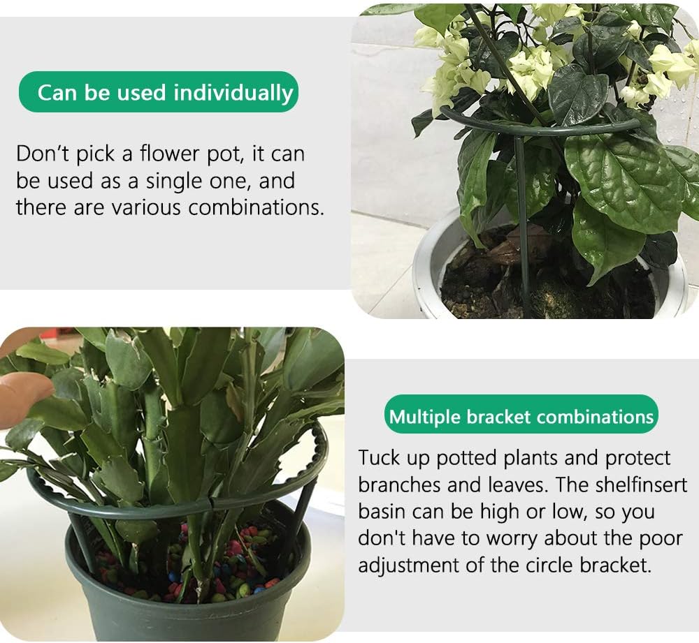 Mwellewm 10 Pack Plant Support Plant Stakes Metal Half Round Search Support Ring Small Plastic Cage Holder Short Stem Flower Pot Climbing Trellis for House Flower Vegetable Indoor Leafy(5.7 x 5.9nch)