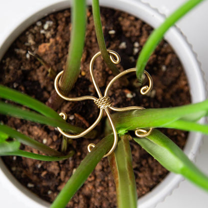 Yohsnor Monstera Plant Stem Support System - 5 Piece Set (5.5x4.7in) | Durable Plant Support Stakes for Climbing Plants & Fishbone Cactus | Ideal Leaf Stabilizer for Indoor Plants & Monstera Care