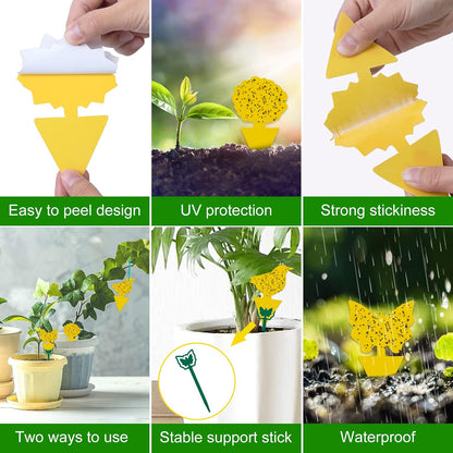 Yellow Sticky Fruit Fly Trap 54 Pack, Gnat Traps for Indoor House Plants | Catches Fungus Gnats, Fruit Fly, Whitefly, Aphid, Leaf Miner, No Harm & Odorless, Safe For Indoor Garden & Outdoor Plant Use