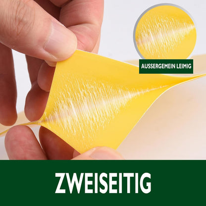 Garsum 36 Pack Fungus Gnat Traps Sticky Fruit Fly Trap Killer for Kitchen Indoor and Outdoor, Insect Fly Traps for House Plants, Whitefly, Mosquito Bits, Flying Insects