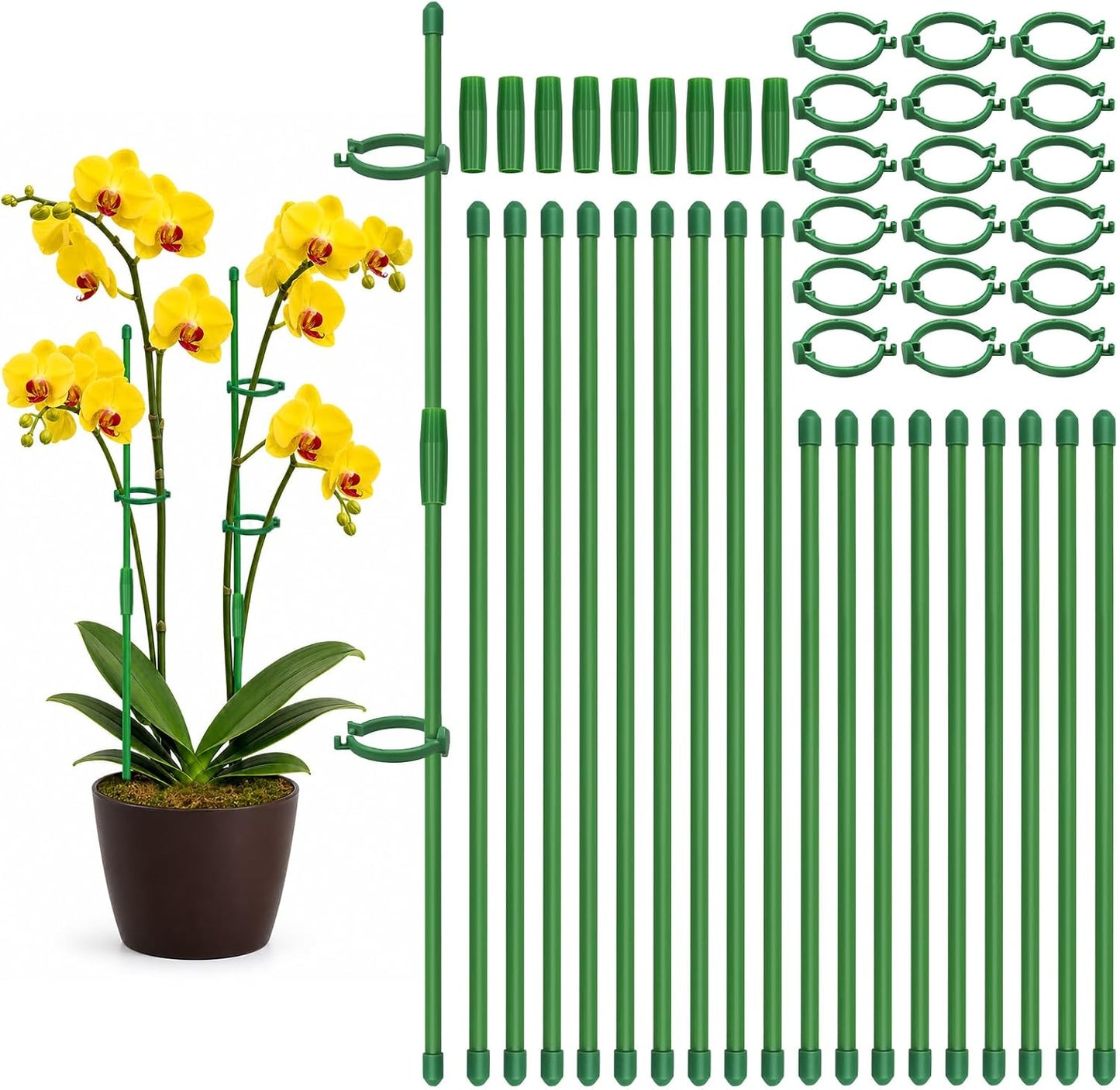 Plant Stakes, 20 Pcs Plant Sticks Stakes Support, Garden Stake Pole with Clips, Adjustable Plant Support with 20 Rings and 10 Connectors for Indoor and Outdoor Plants