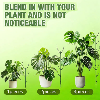 Stackable Plant Support Pothos Climber Support Vine Plant Sticks Stakes with Plant Clips and Plant Ties for Indoor Outdoor Vine Orchid, 5 Pack