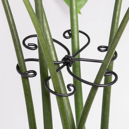 Yohsnor Monstera Plant Stem Support System - 5 Piece Set (5.5x4.7in) | Durable Plant Support Stakes for Climbing Plants & Fishbone Cactus | Ideal Leaf Stabilizer for Indoor Plants & Monstera Care