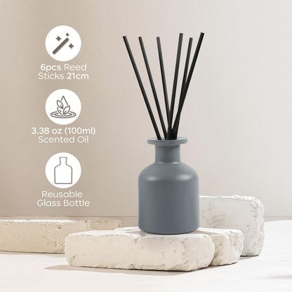 Reed Diffuser Set,Ocean Mist & Sea Salt Fragrance,100ml(3.38 fl.oz) with 6 Reed Sticks,Long-Lasting Oil Diffuser for Home,Office,Bathroom,Flame Free