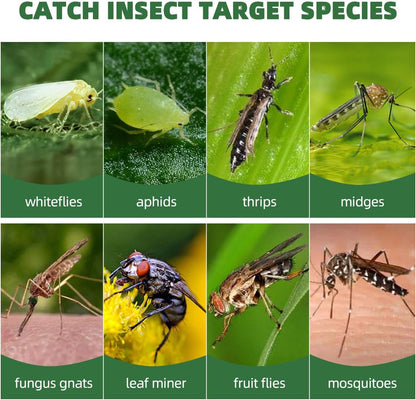 58 Pack Yellow Sticky Gnat Traps for Plants - Fungus Gnat Killer, Fruit Fly Traps for Indoors, Gnat Sticky Traps for Plants, Family Friendly Design, Sunflower + Butterfly Shapes
