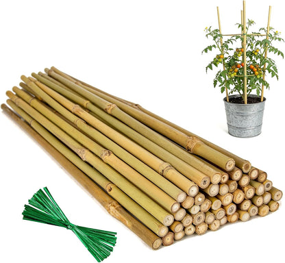Plant Stakes Natural Bamboo Sticks - 30 Pcs Bamboo Garden Stakes for Plants 4.8 FT Plant Support Sticks with Twist Ties for Tomatoes Beans Flowers Indoor Outdoor Potted Climbing Plants