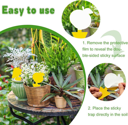 Yellow Sticky Traps for Plant Gnats, 50 Pack Fungus Gnat Trap, Effective Sticky Gnat Traps for Indoor and Outdoor Plants