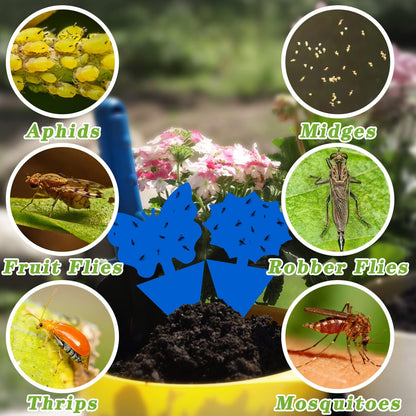 Fruit Fly Traps Indoor Fungus Gnat Trap 48PCS for Plants Yellow Houseplants Outdoor Use Insect Sticky