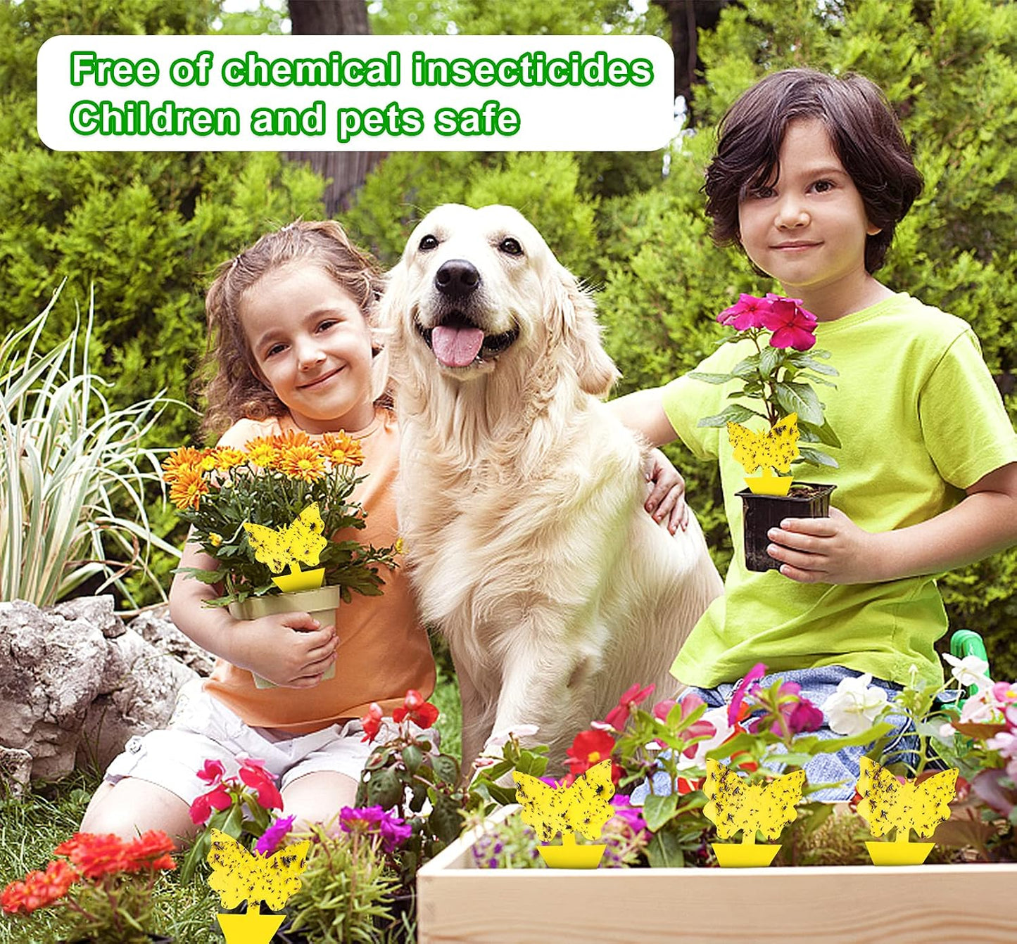 40 Pack Fungus Gnat Traps for House Indoor Yellow Sticky Traps for Gnats Sticky Traps for Plants, Dual-Sided Fungus Gnat Sticky Traps Fruit Fly Traps for Indoors