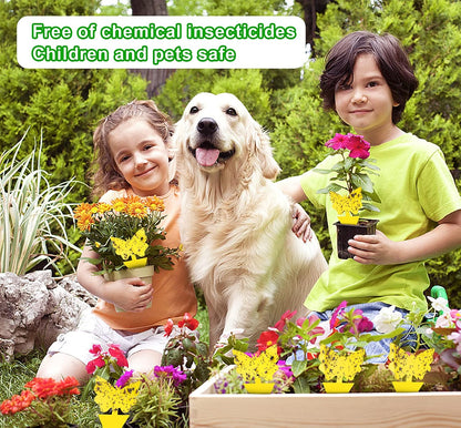 40 Pack Fungus Gnat Traps for House Indoor Yellow Sticky Traps for Gnats Sticky Traps for Plants, Dual-Sided Fungus Gnat Sticky Traps Fruit Fly Traps for Indoors