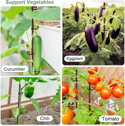 Plant Support Stakes for Indoor SupKing Orchid Sticks with Clips Garden Stake Extended to 2/3/4ft for Outdoor Potted Tomato Rose Vegetables House Palnts Comes with 20 Plants Ties(15 inch 10Pcs)