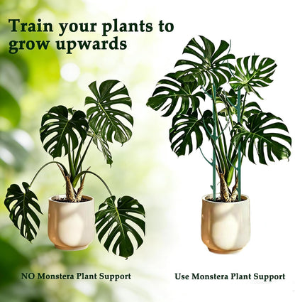 10PCS Monstera Plant Support, Stackable Plant Stakes for Indoor Plants, Plant Sticks Support Tall for Climbing Potted Plants