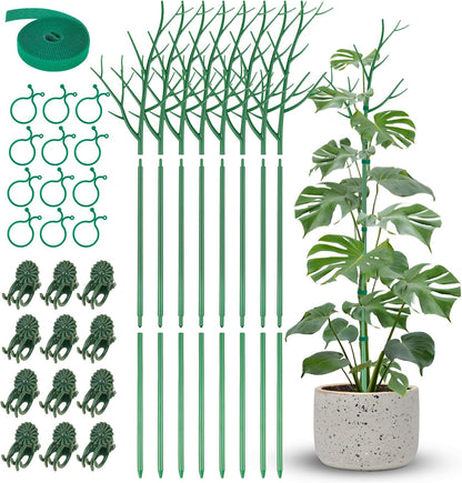 NiHome Comprehensive Plant Support Stake Set of 6 - Durable, UV Resistant 39.5" Stakes with Extension Poles, Orchid Clips & Plant Ties for Climbing Indoor & Outdoor Plants, Monstera, Pothos & More