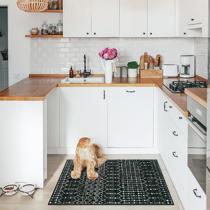 Lahome Moroccan Entry Rug 2x3, Non-Slip Washable Front Indoor Door Mat Rubber Backing Low-Profile Door Rugs, Small Geometric Print Distressed for Entryway Bathroom Kitchen, Black Hana