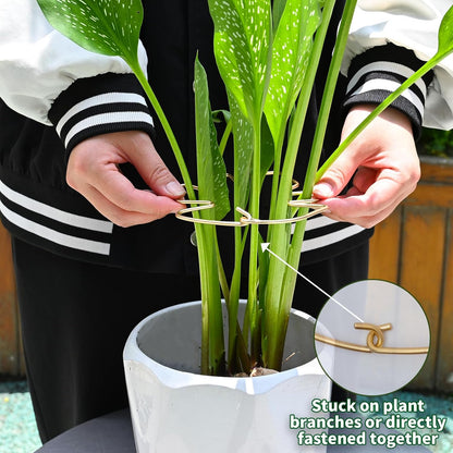 5PCS Monstera Plant Stem Support Stakes - 5.5 * 5.5IN Metal Supports for Monstera and Fishbone Cactus, Sturdy Frame, Easy Installation, Flexible Protection for Healthy Growth Indoors