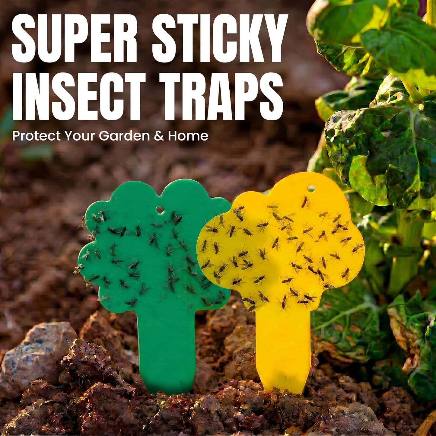 100 Pack Yellow & Green Sticky Gnat Traps for Plants - Fungus Gnat Killer, Fruit Fly Traps for Indoors, Gnat Sticky Traps for Plants, Family Friendly Design, Flower + Cloud Shapes