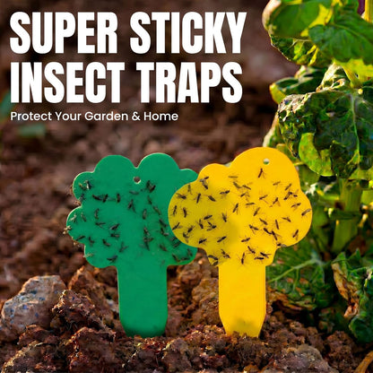 100 Pack Yellow & Green Sticky Gnat Traps for Plants - Fungus Gnat Killer, Fruit Fly Traps for Indoors, Gnat Sticky Traps for Plants, Family Friendly Design, Flower + Cloud Shapes